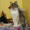 Отзыв от Евгения Кожевникова